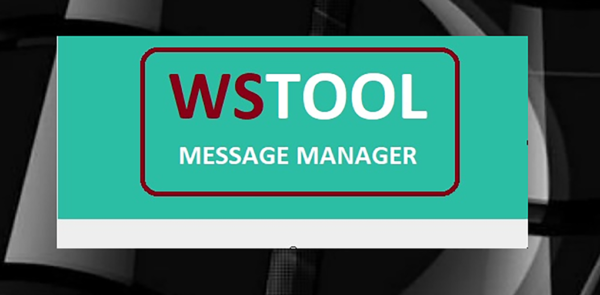 Ws Tool - Image 2